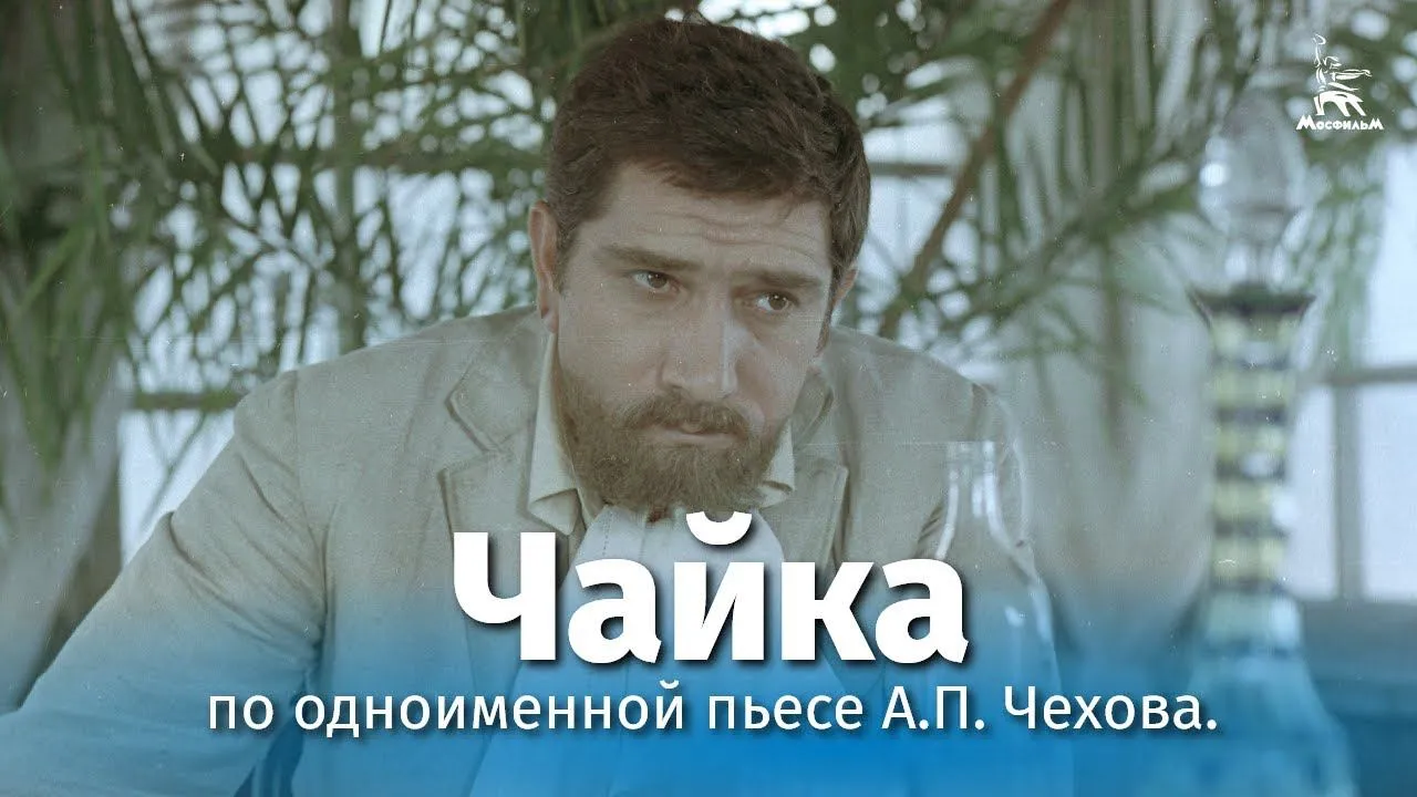Чайка — смотреть онлайн