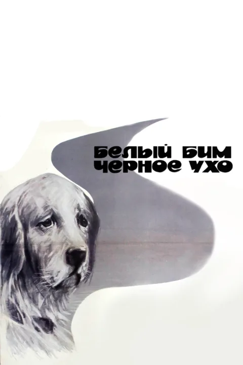 Постер фильма «Белый Бим Черное Ухо» (1977)