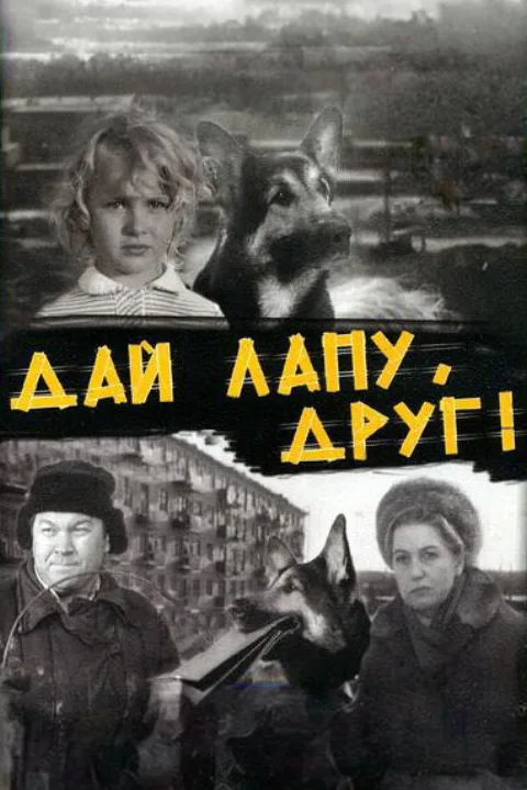 Постер фильма «Дай лапу, друг!» (1967)
