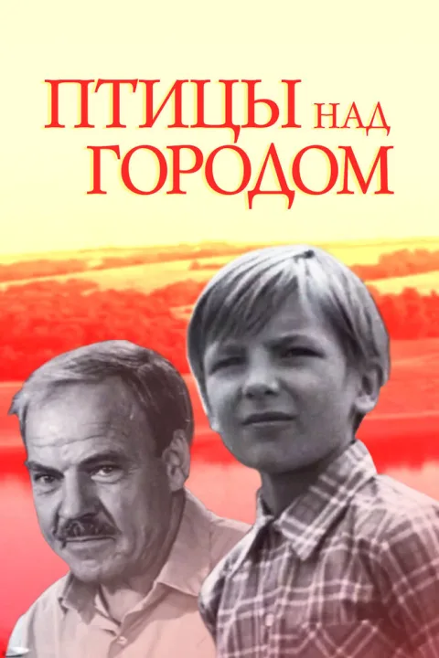 Постер фильма «Птицы над городом» (1974)